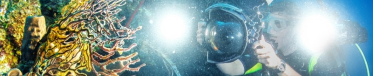 Lighting for aluminum underwater housing for underwater photography